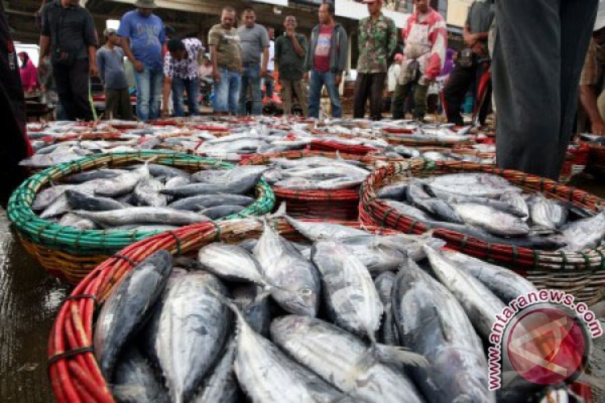 Cuaca buruk pengaruhi harga ikan di Aceh Barat