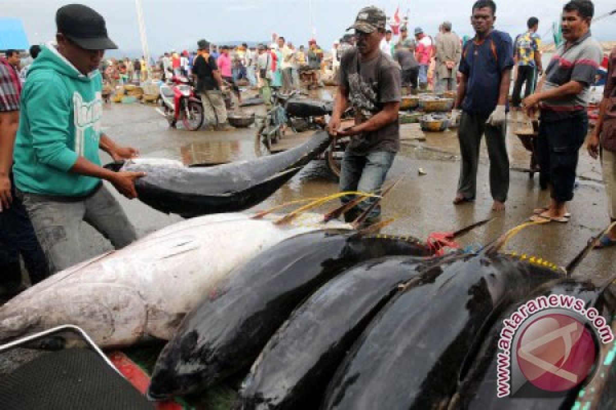 Nelayan Aceh dilatih pengolahan ikan tuna