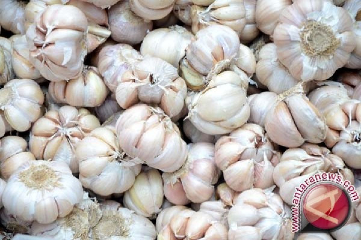 Harga bawang putih turun di Lhokseumawe