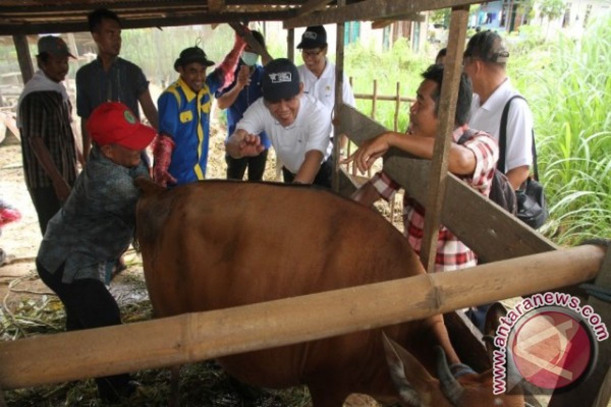 Rusmadi : Peternakan Harus Dikelola Luar Biasa