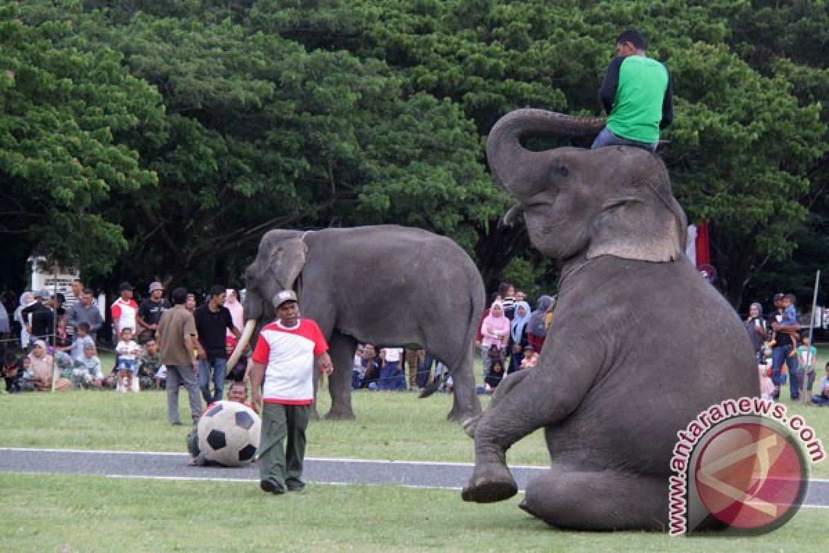 Sekitar 100 gajah ambil cuti dan berpiknik di Nepal