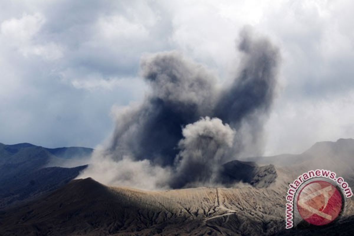 Aktivitas kegempaan Gunung Bromo cenderung naik