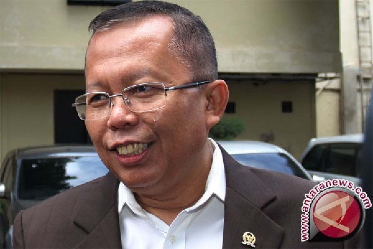 Djan Faridz Dukung Ahok, Iini Kata Sekjen PPP Arsul Sani