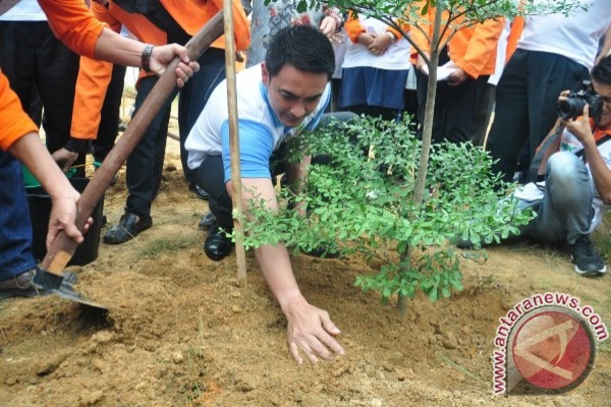 534 ribu hektare lahan di Jambi kritis 