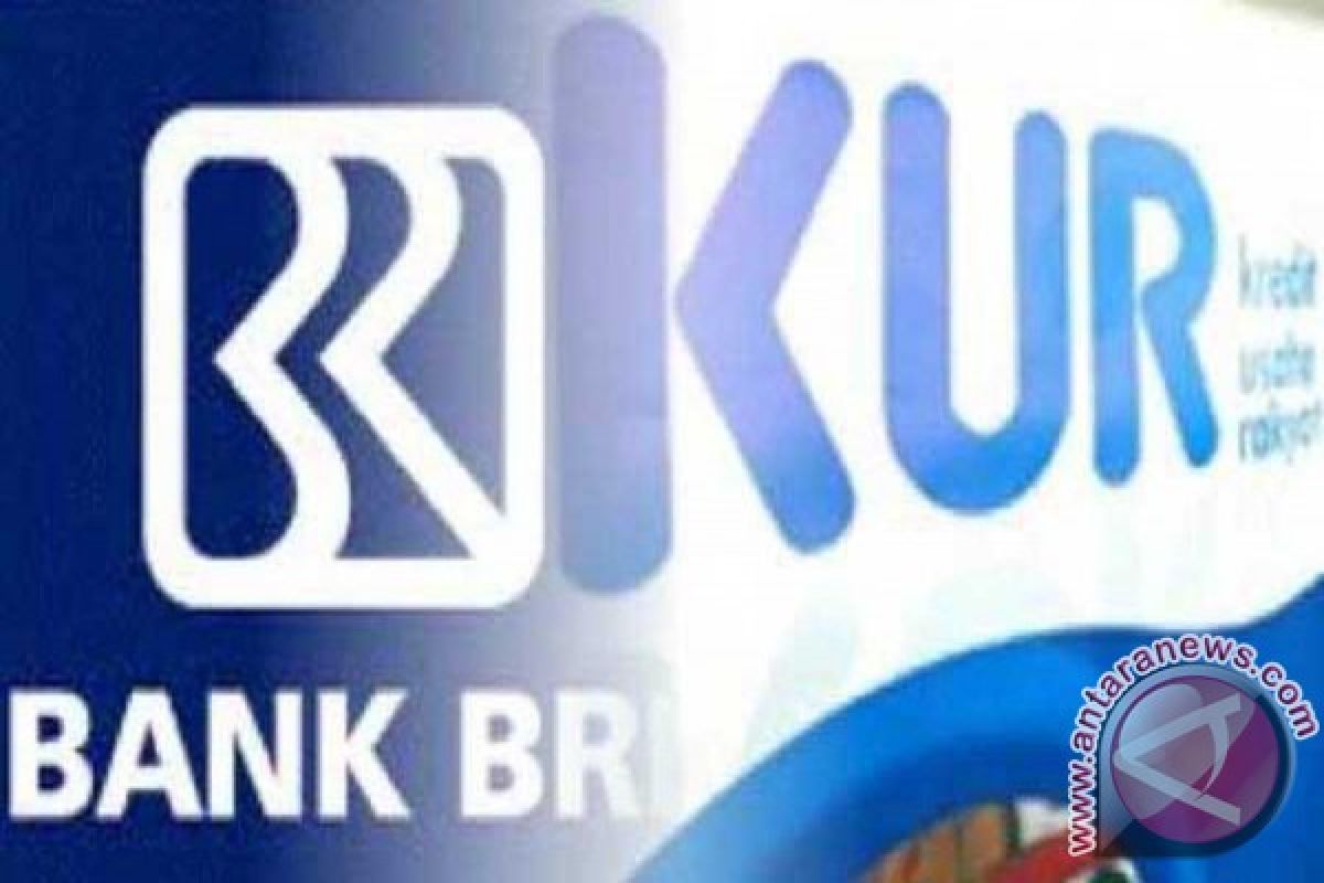 Realisasi KUR Bank Kalsel Rp9,3 Miliar