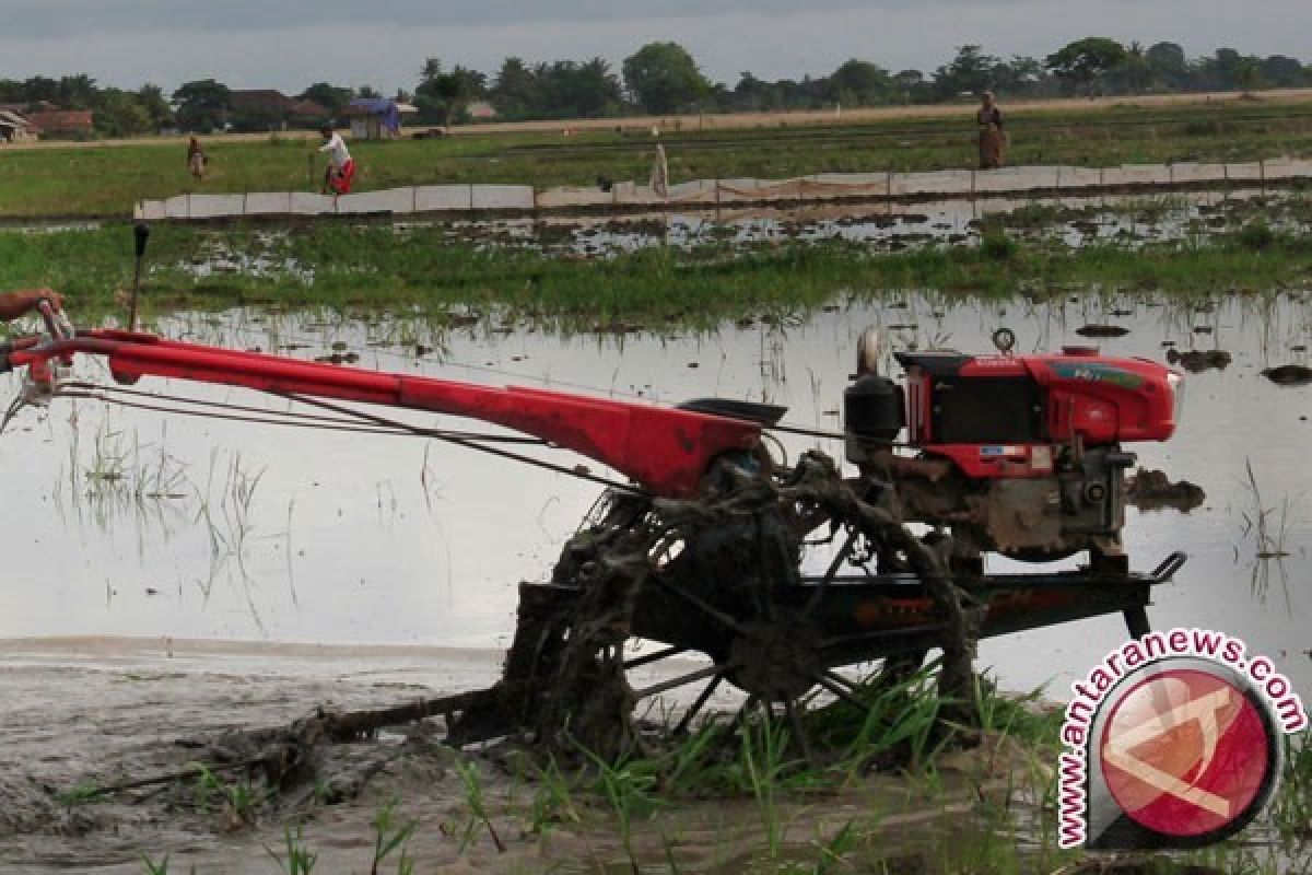 Petani Bangka Barat Gembira Terima Bantuan Traktor