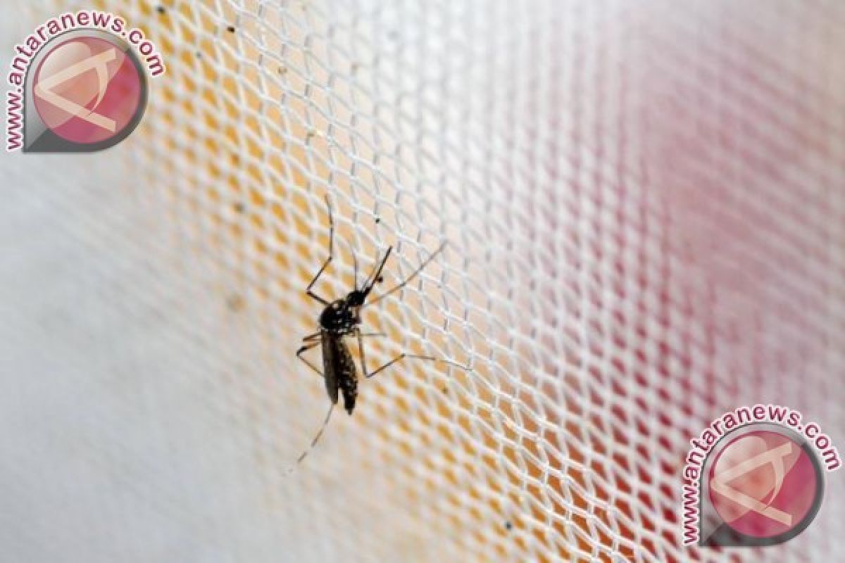 Vietnam soroti dua pasien terinfeksi Zika