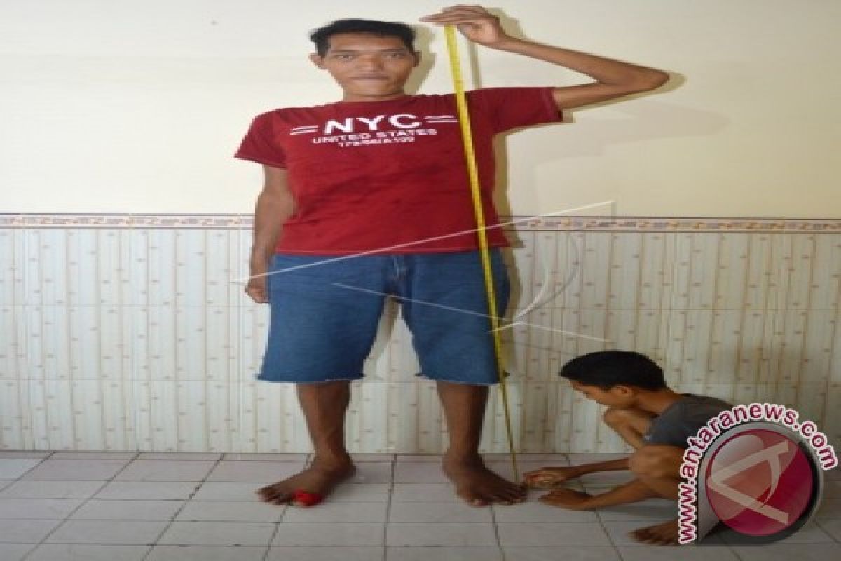 Manusia Tertinggi