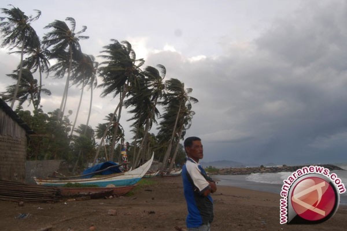 Angin Kencang Landa Morowali Utara 