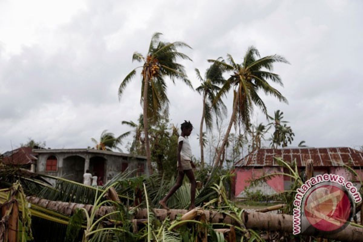 Korban tewas badai di Haiti mencapai 1.000 orang