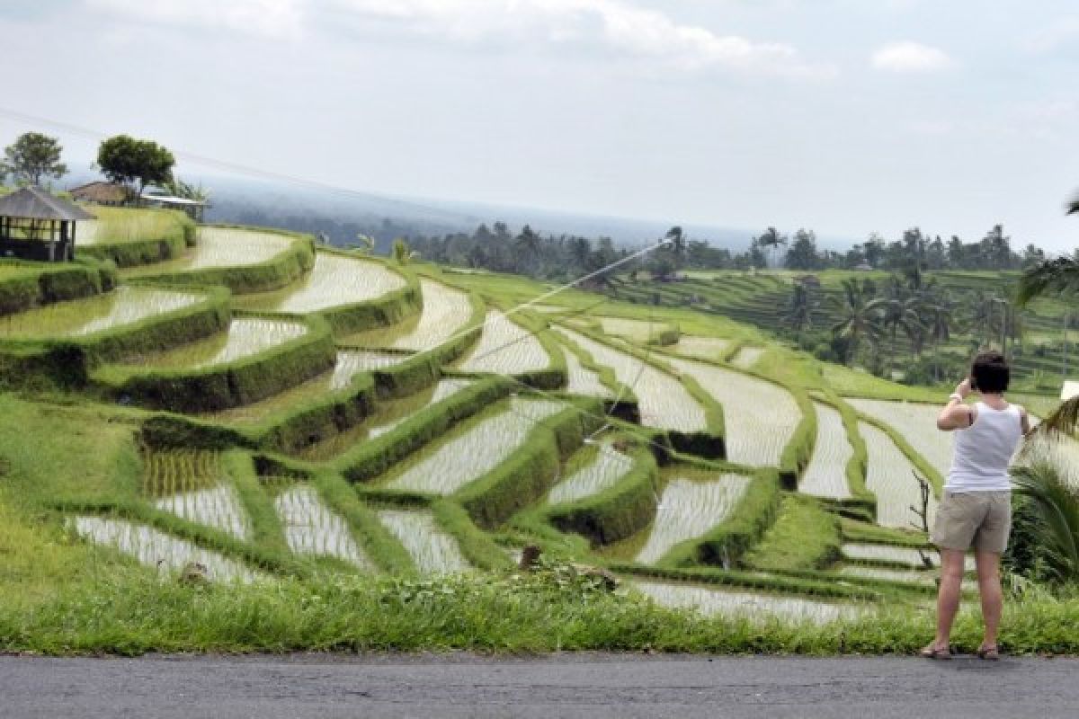 Program padat karya saluran irigasi subak langsung dirasakan manfaatnya