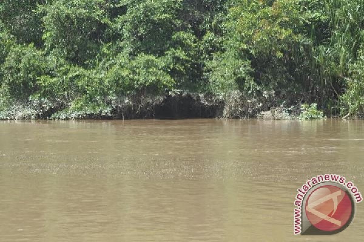 Benarkah Pulau Mintin Dijaga Seekor Naga?
