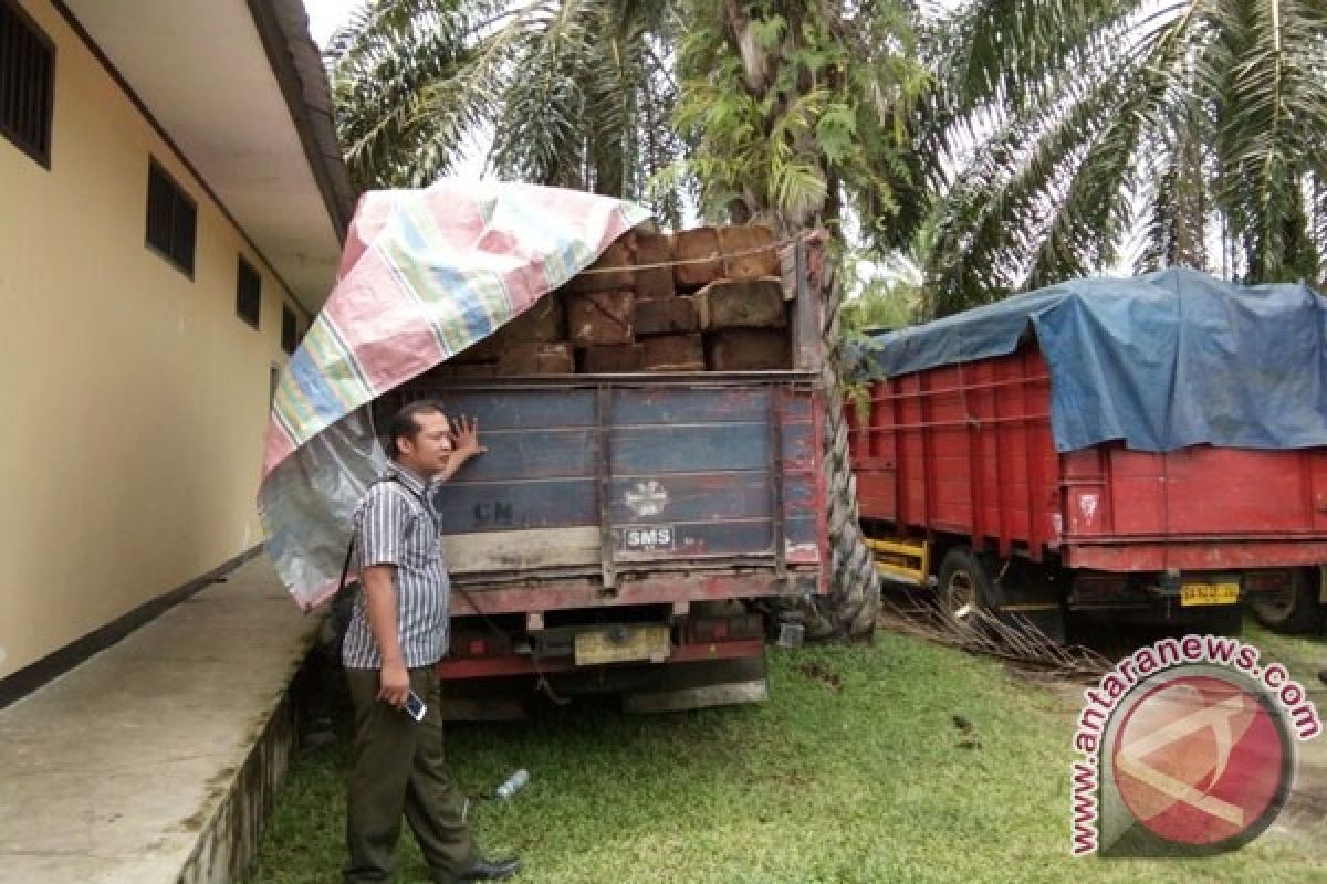 Polisi Mukomuko limpahkan kasus penyeludupan kayu ilegal