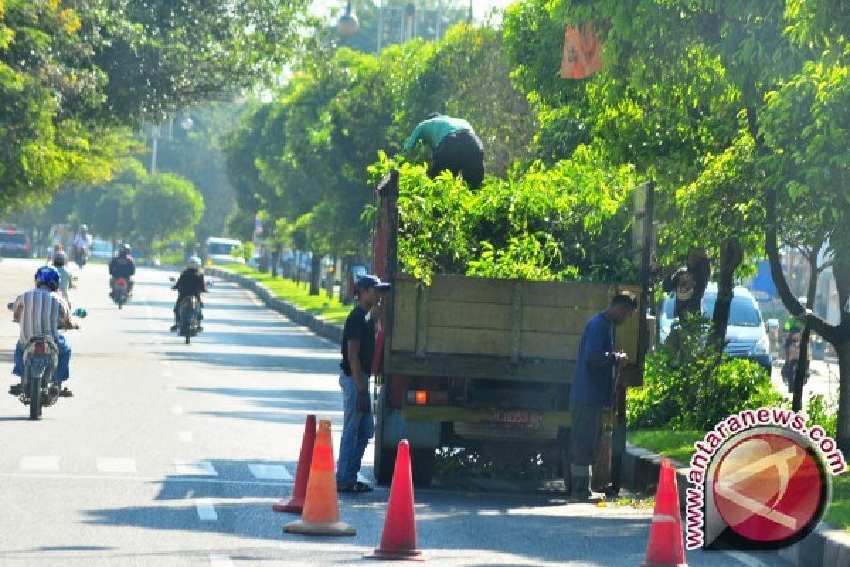 DKP Makassar pangkas pohon awal musim penghujan