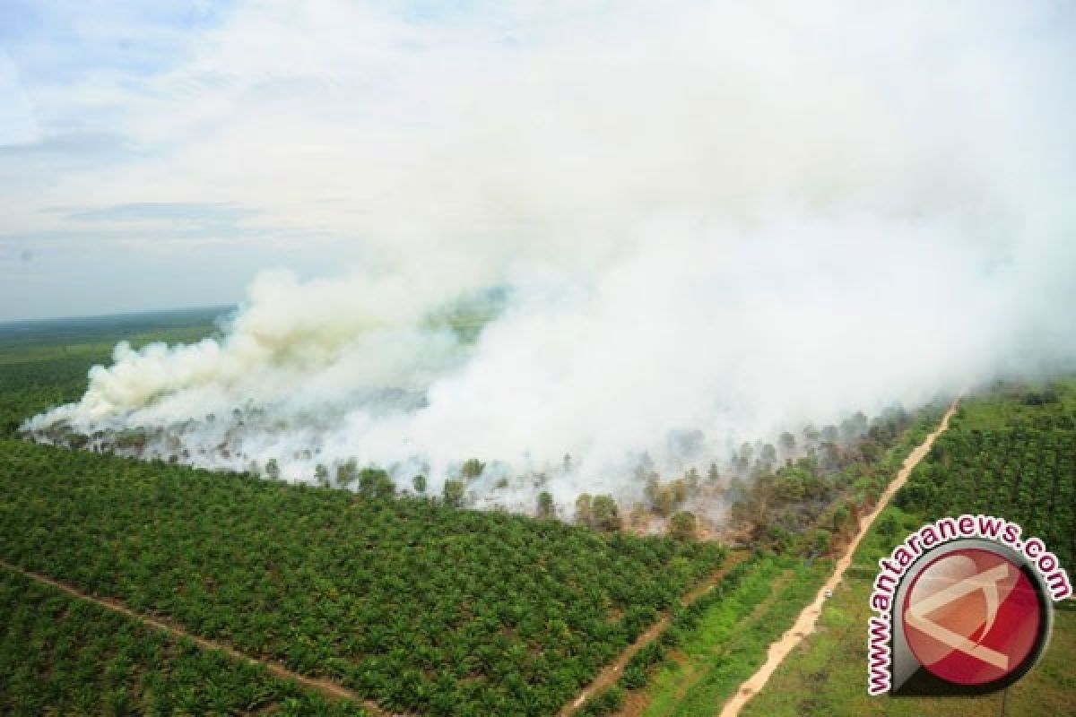 Legislator Gorut Imbau Masyarakat Waspada Kebakaran Lahan