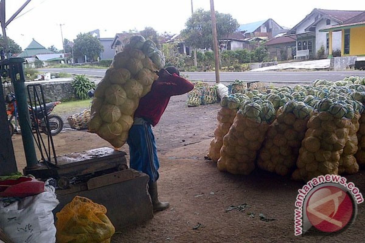 Harga jual beberapa jenis sayuran alami penurunan