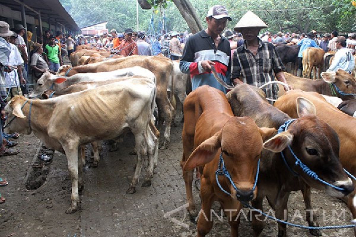 Pemprov Siapkan Langkah Cegah Antraks Masuk Jatim