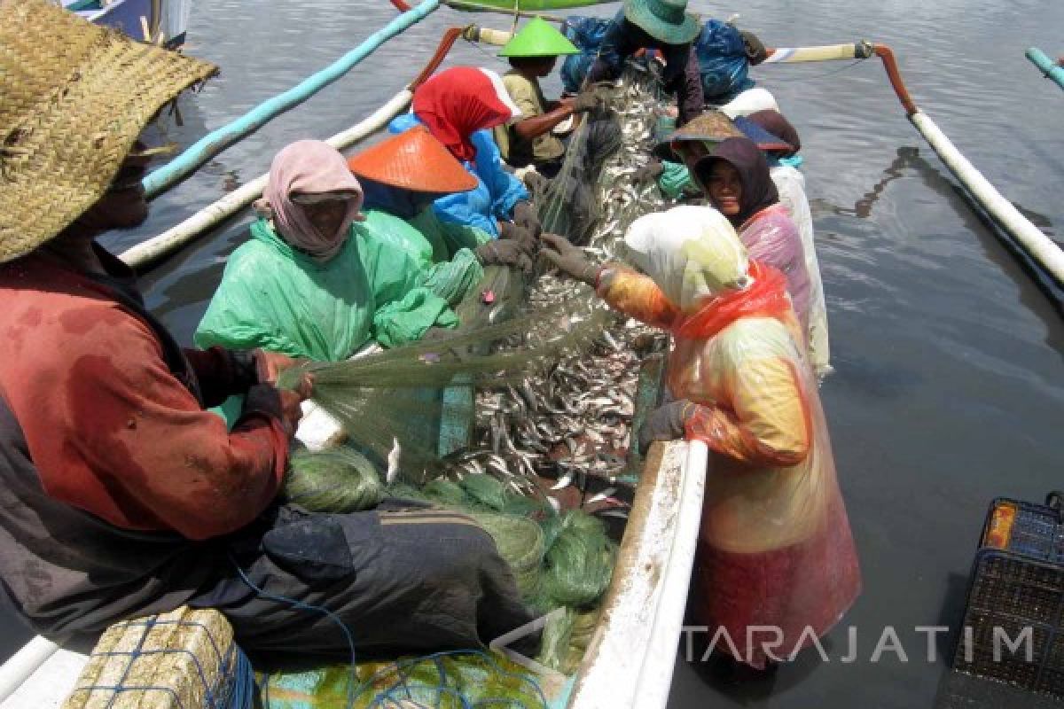 Nelayan Jember Optimistis Kemudahan Perizinan Tingkatkan Produksi Ikan