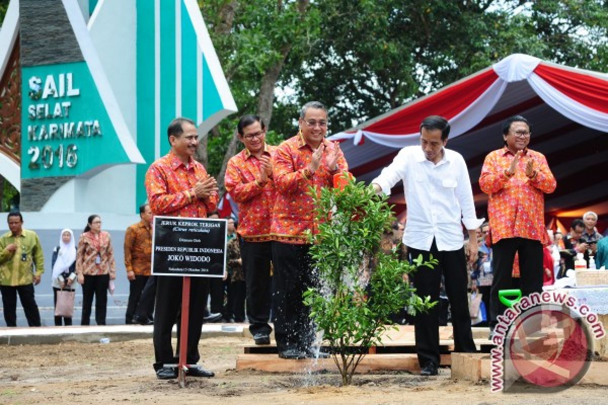 Presiden Tanam Jeruk di Kayong Utara