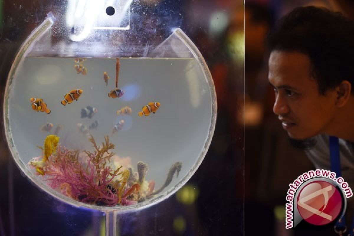 Thailand makin minati ikan hias Sulut