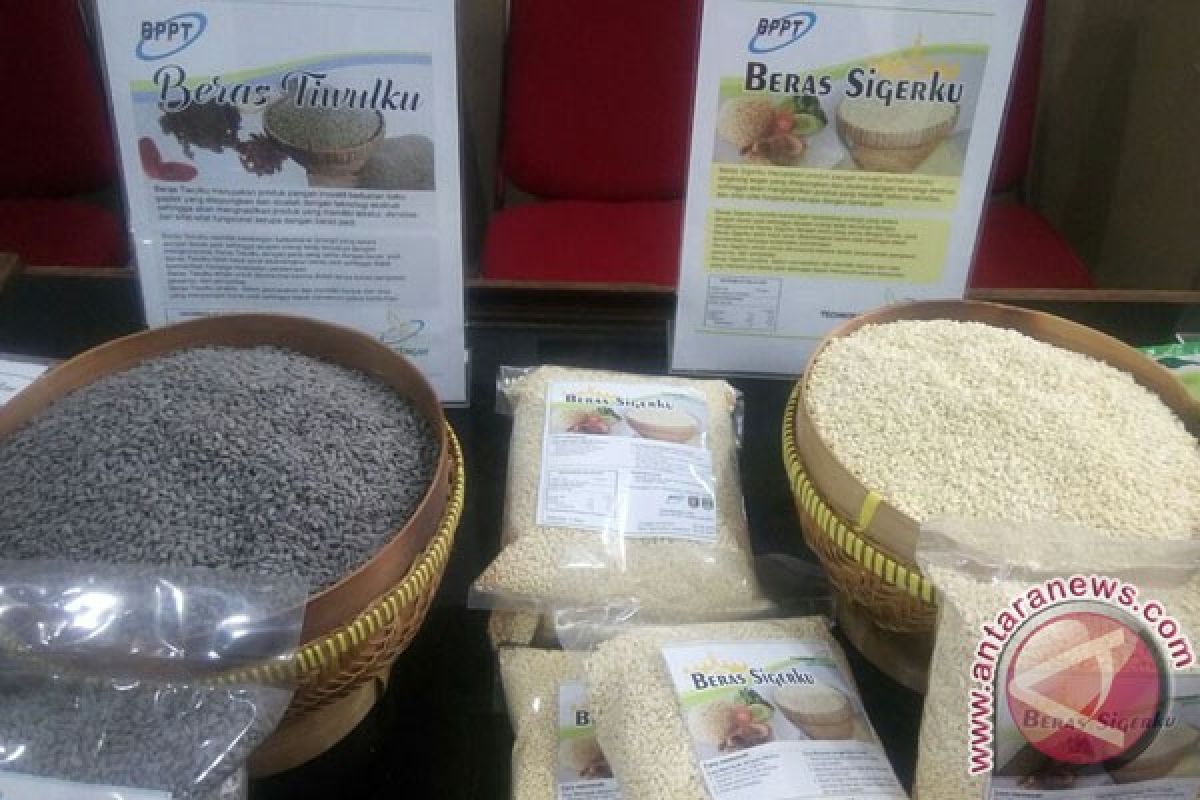 BPPT kembangkan produk beras non-padi
