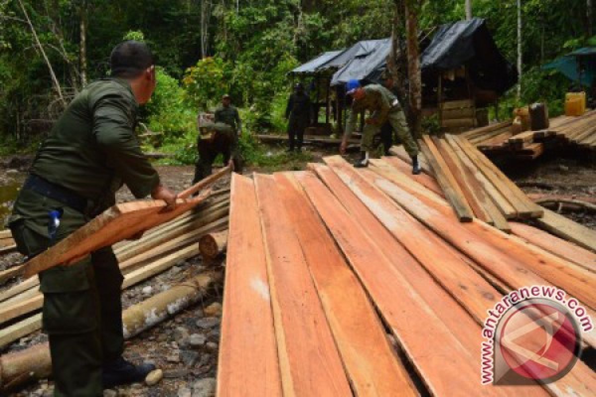 Polisi sita 30 ton kayu di Aceh Timur