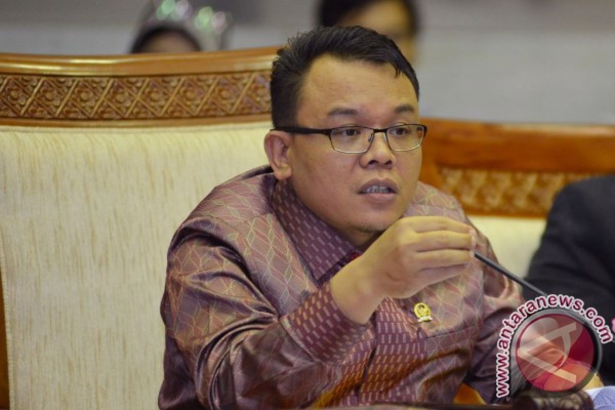 Legislator: Perlu Sinergi Tangani Pekerja Asing Ilegal