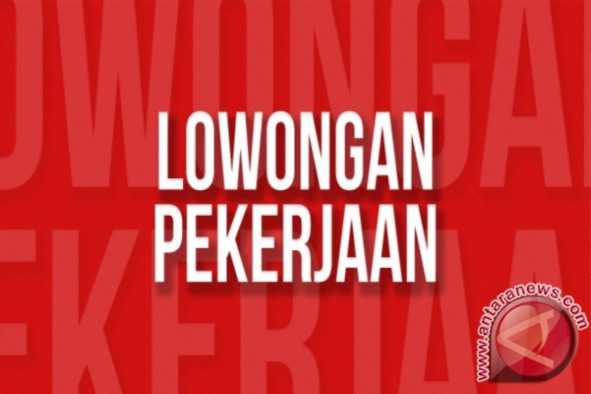 Perusahaan Wajib Laporkan Lowongan Kerja ke Dinas Ketenagakerjaan