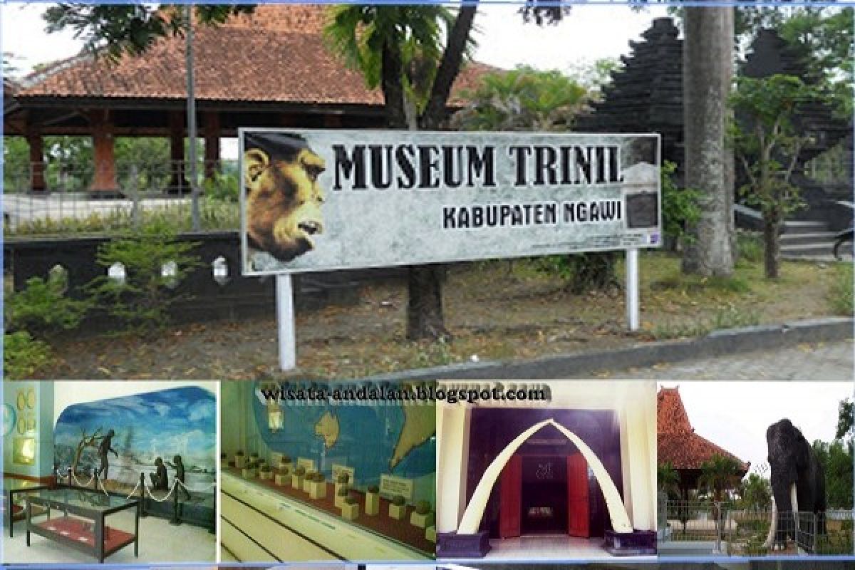  Mempelajari kehidupan manusia purba di Museum Trinil