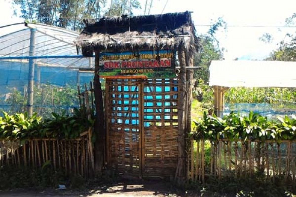 Sekolah Sawah Kembangkan Materi Ternak Kambing