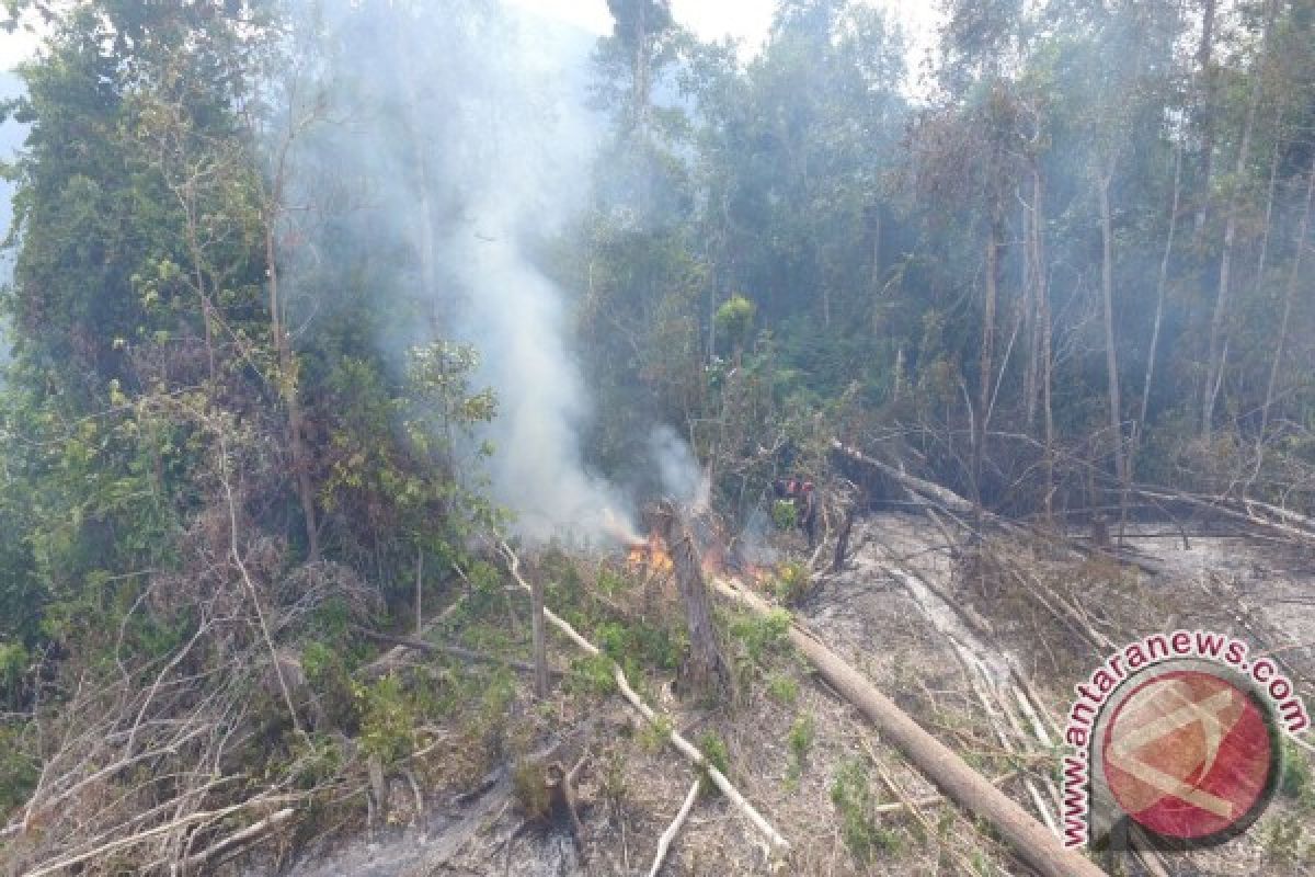 Perambahan di Zona Inti, TNKS: Penanganan Perambahan harus Sistematis