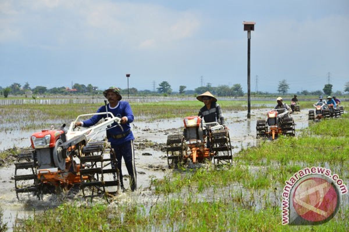 Wagub Sumbar minta SE Gubernur dijadikan motivasi petani