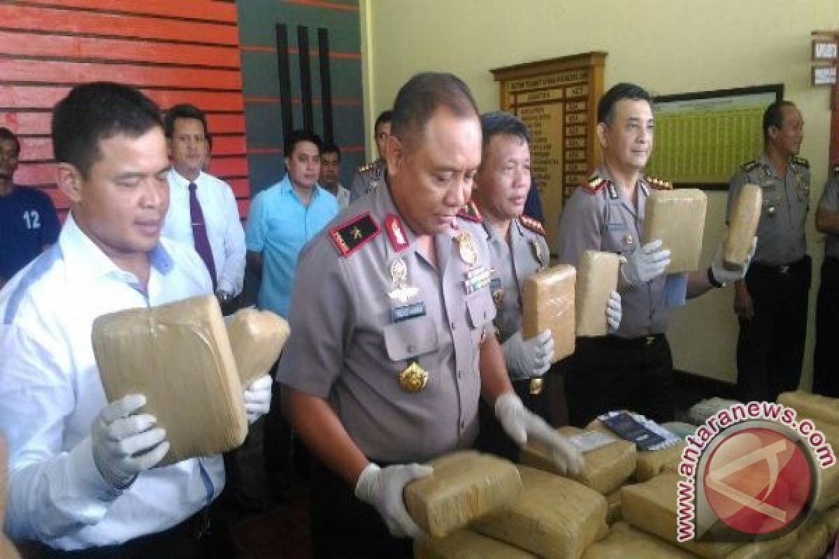 Polisi tangkap sopir bawa 54 kilogram ganja