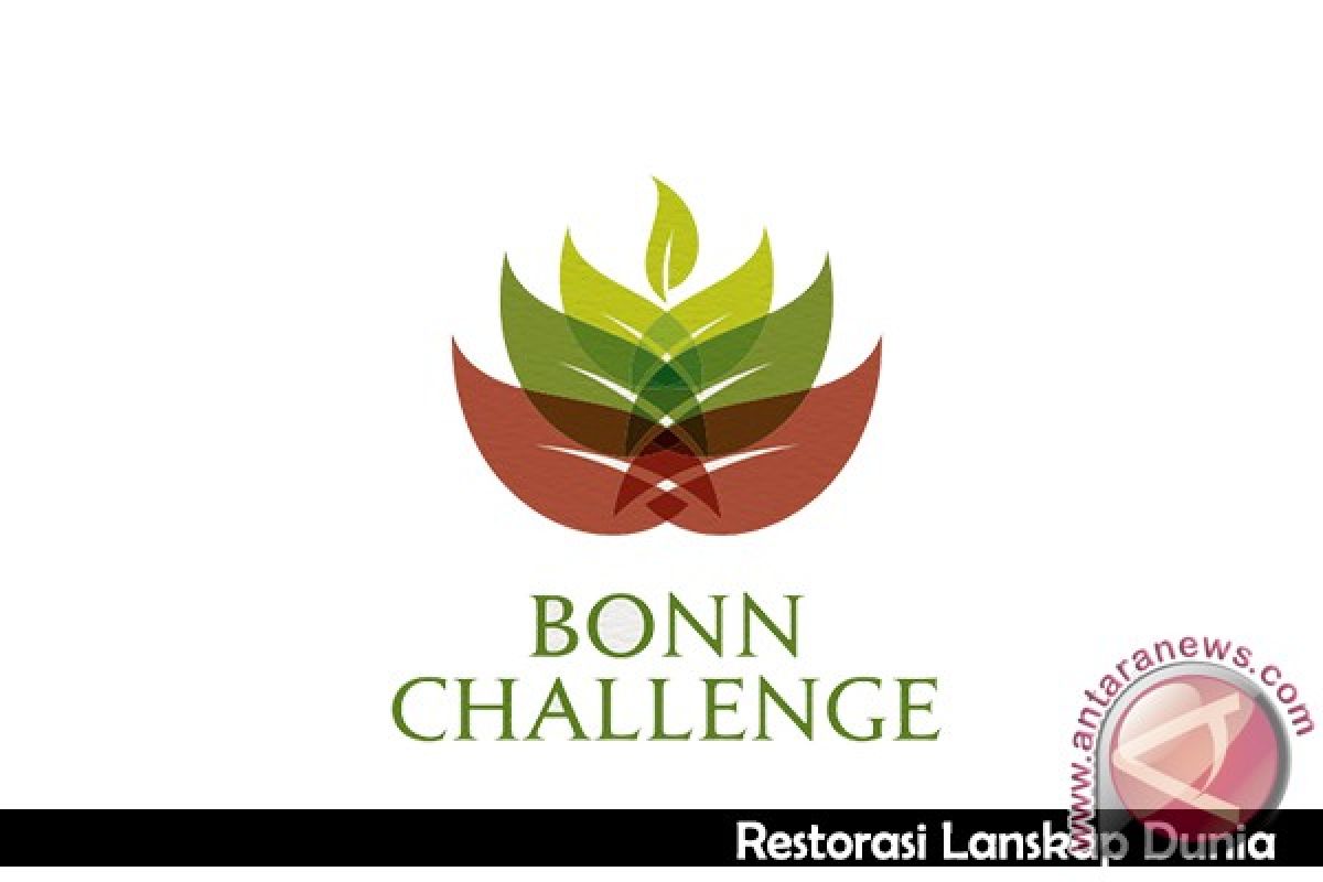 Sumsel tuan rumah "Bonn Challenge"