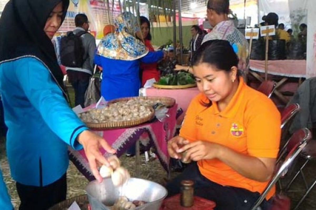 Pameran HPS Gerakkan Ekonomi melalui Pertanian Organik