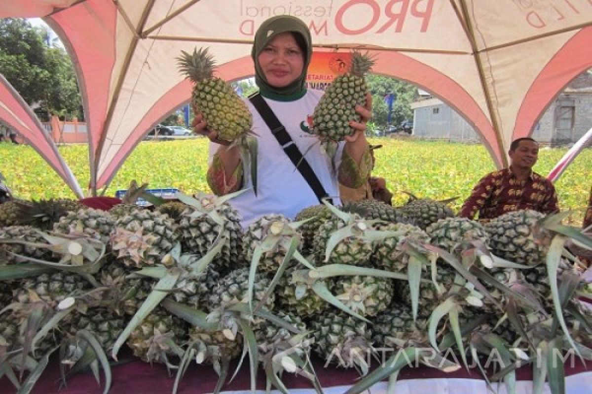 Pemkab Kediri Berencana Gelar Festival Nanas 