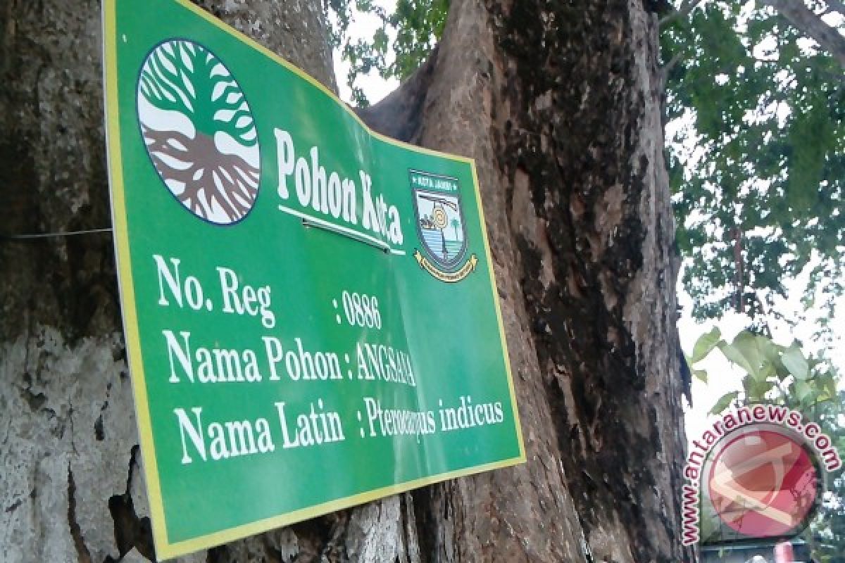 Ribuan pohon di Kota Jambi diberi label 