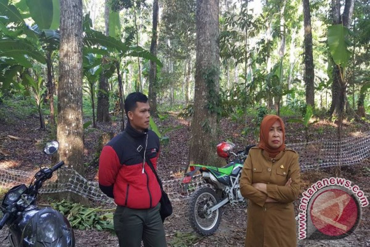 Dinas Kehutanan NTB Minta Masyarakat Laporkan Polhut Pungli 