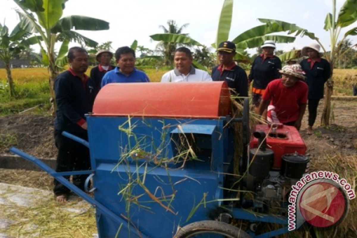 Panen Subak Getas, BI Ikut Jaga Suplai Beras Bali