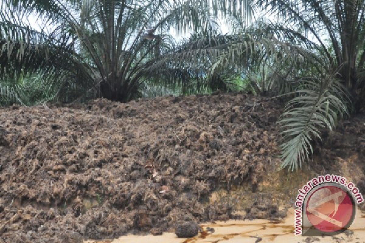 Pengolahan delapan juta ton limbah peremajaan sawit Muba butuh dana besar