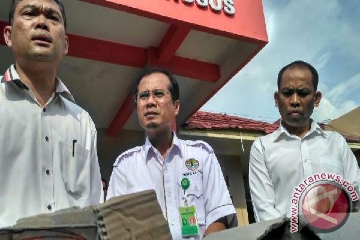 BKSDA Komitmen Ungkap Jaringan Penjualan Satwa Dilindungi