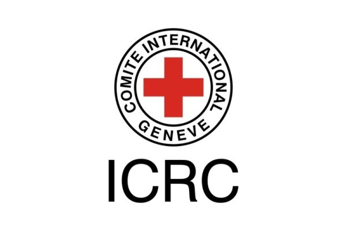ICRC jadikan Papua "pilot project" penanganan kekerasan seksual