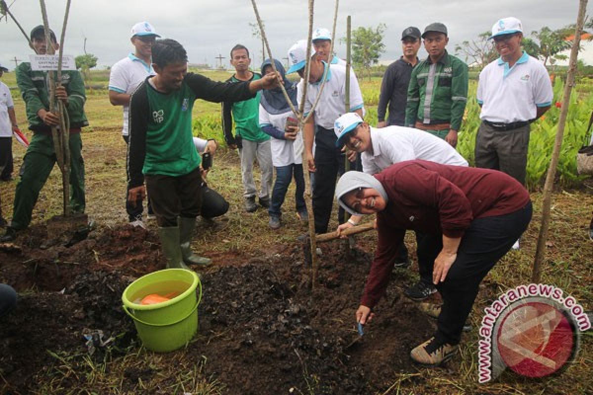 PLN tanam 1.000 pohon peringati Hari Menanam Pohon