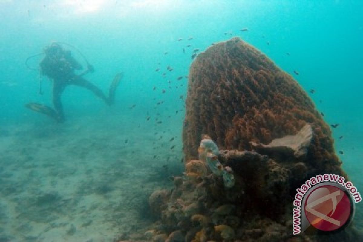 WISATA PULAU PANAMBUNGAN