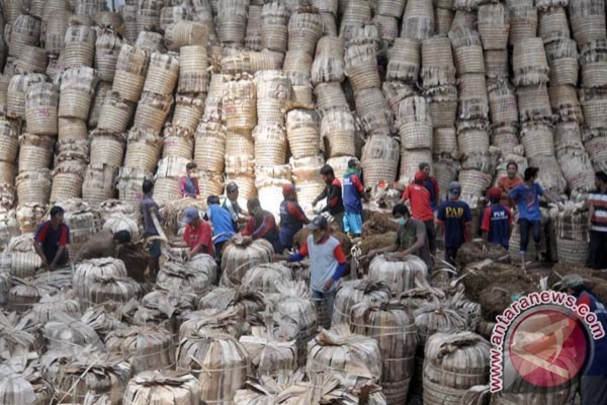 Pembelian Tembakau Djarum Lampaui 4.500 Ton