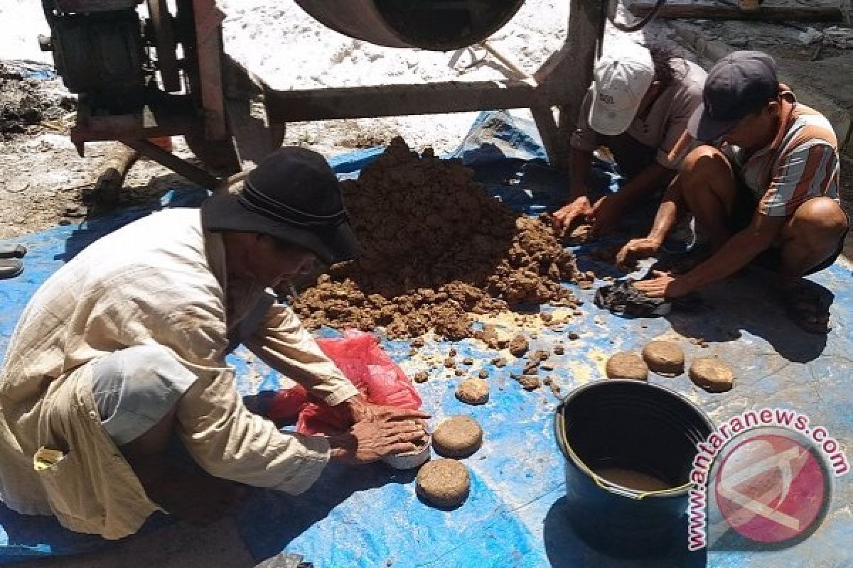 Sip! Peternak Sukamara Diajari Buat Pakan Sapi Dari Limbah Sawit