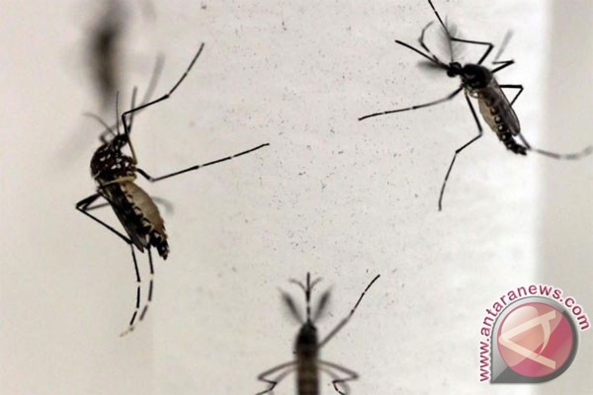 Kasus virus Zika melonjak di India