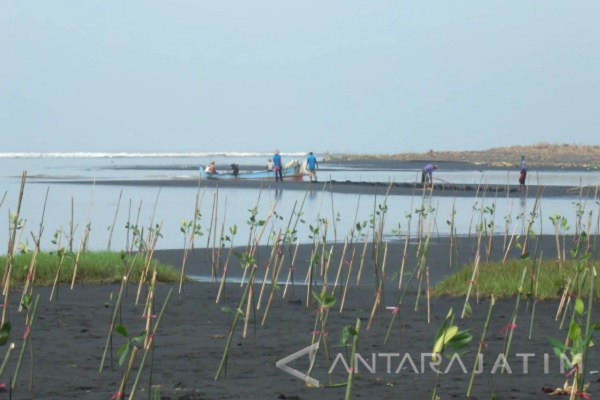 Pantai Paseban-Jember Akan Dikelola Jadi Ekowisata Bahari