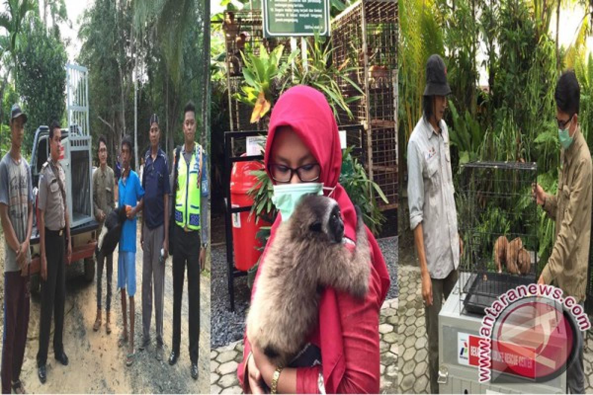 SBI Evacuates Protected Animals