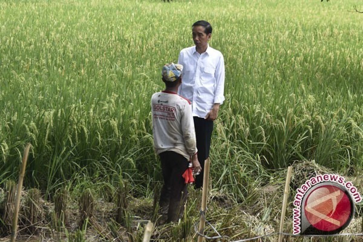 President Jokowi leaves for Boyolali to commemorate World Food Day